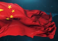 中国的政策措施：乐观主义和玩世不恭的近观